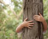 BRAS D'ENFANT SERRANT UN TRONC D'ARBRE