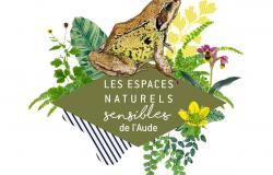 ENS-grenouille