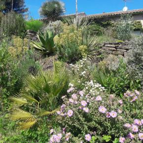 1er prix catégorie jardin Aude Fleurie 2022 pour Yvon Blaize