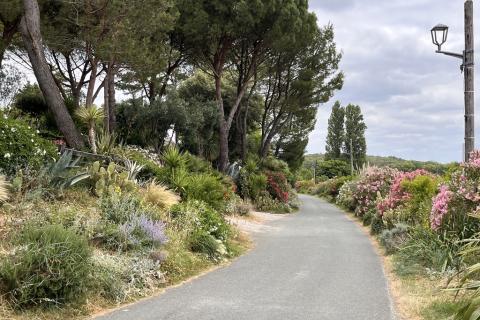 Tréville, 1er prix Aude Fleurie 2025 des communes de 101 à 300 habitants
