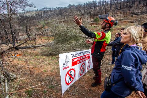 La présidente Hélène Sandragné est venue voir les travaux de sécurisation et de bûcheronnage dans les Corbières, suite au méga feu d'août 2025.
