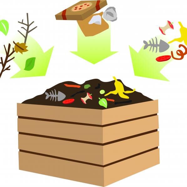 Illustration de compost 2