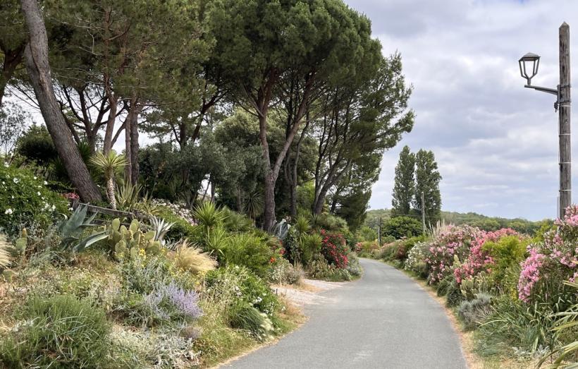 Tréville, 1er prix Aude Fleurie 2025 des communes de 101 à 300 habitants