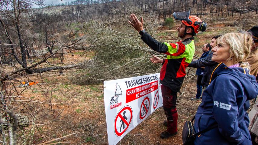 La présidente Hélène Sandragné est venue voir les travaux de sécurisation et de bûcheronnage dans les Corbières, suite au méga feu d'août 2025.
