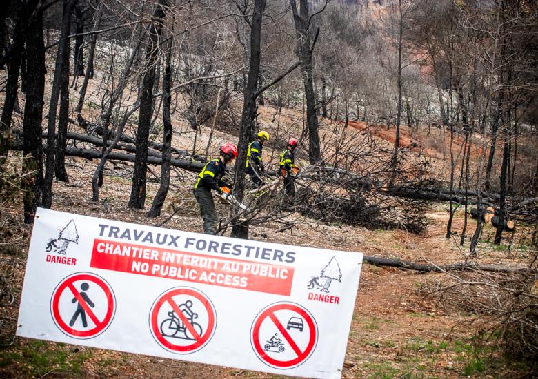 Les travaux de bucheronnage dans les Corbières visent à sécuriser les lieux.